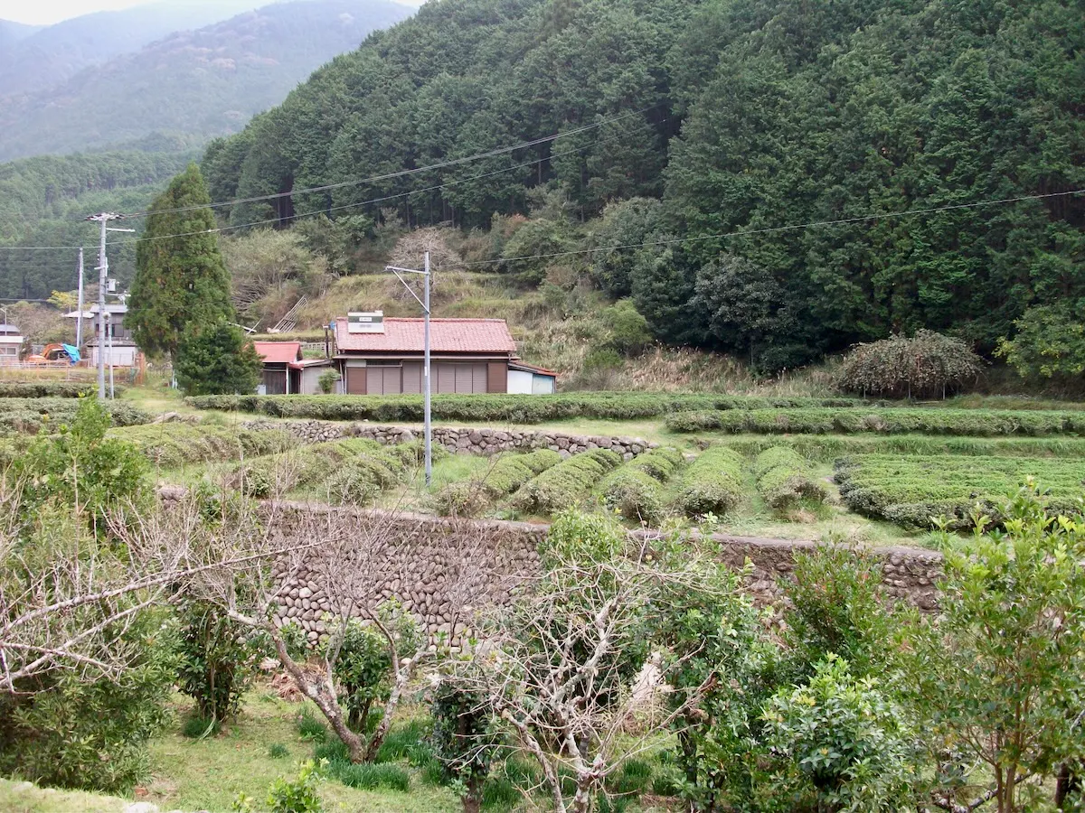 色川