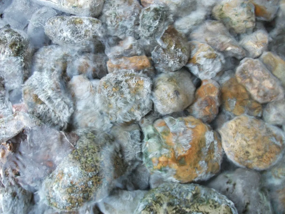 湯の花