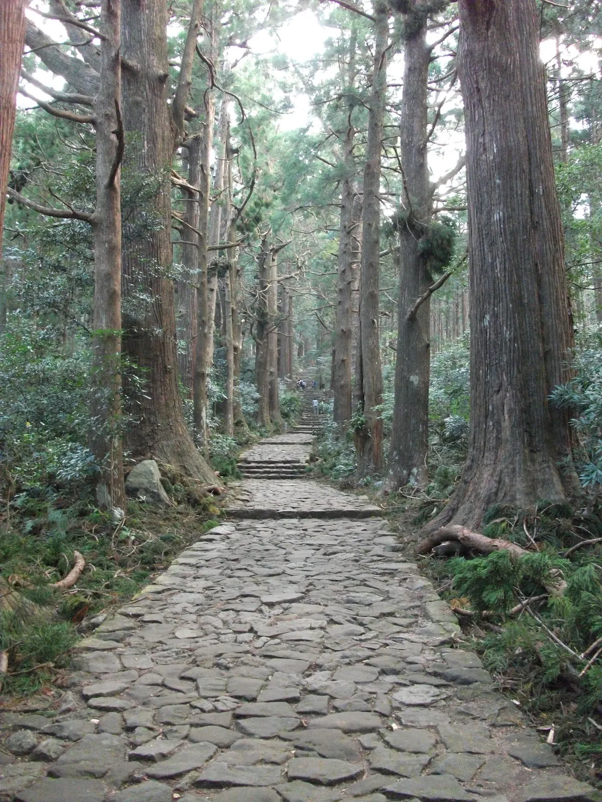 大門坂終盤