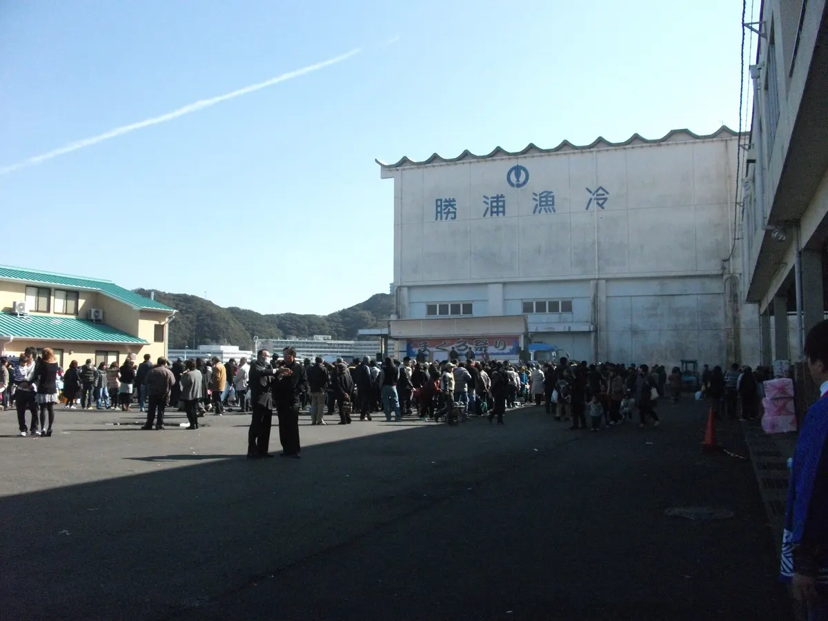 まぐろ祭りステージ前