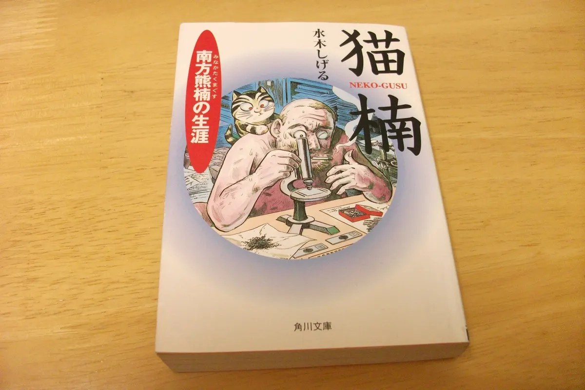 猫楠表紙
