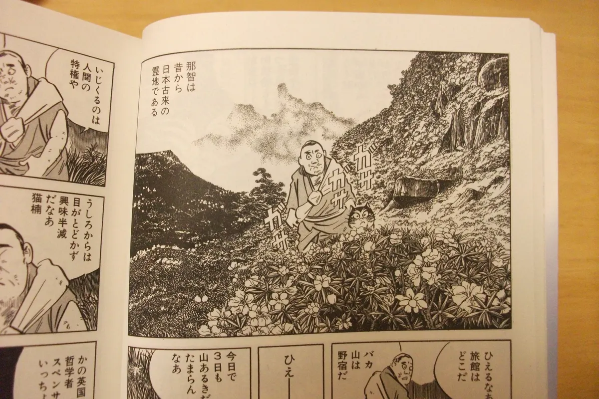 猫楠中身