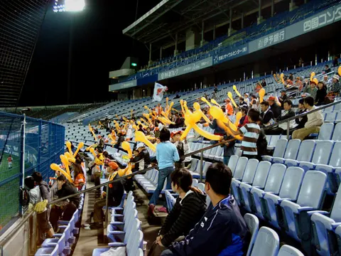 愛媛マンダリンパイレーツの試合の観客