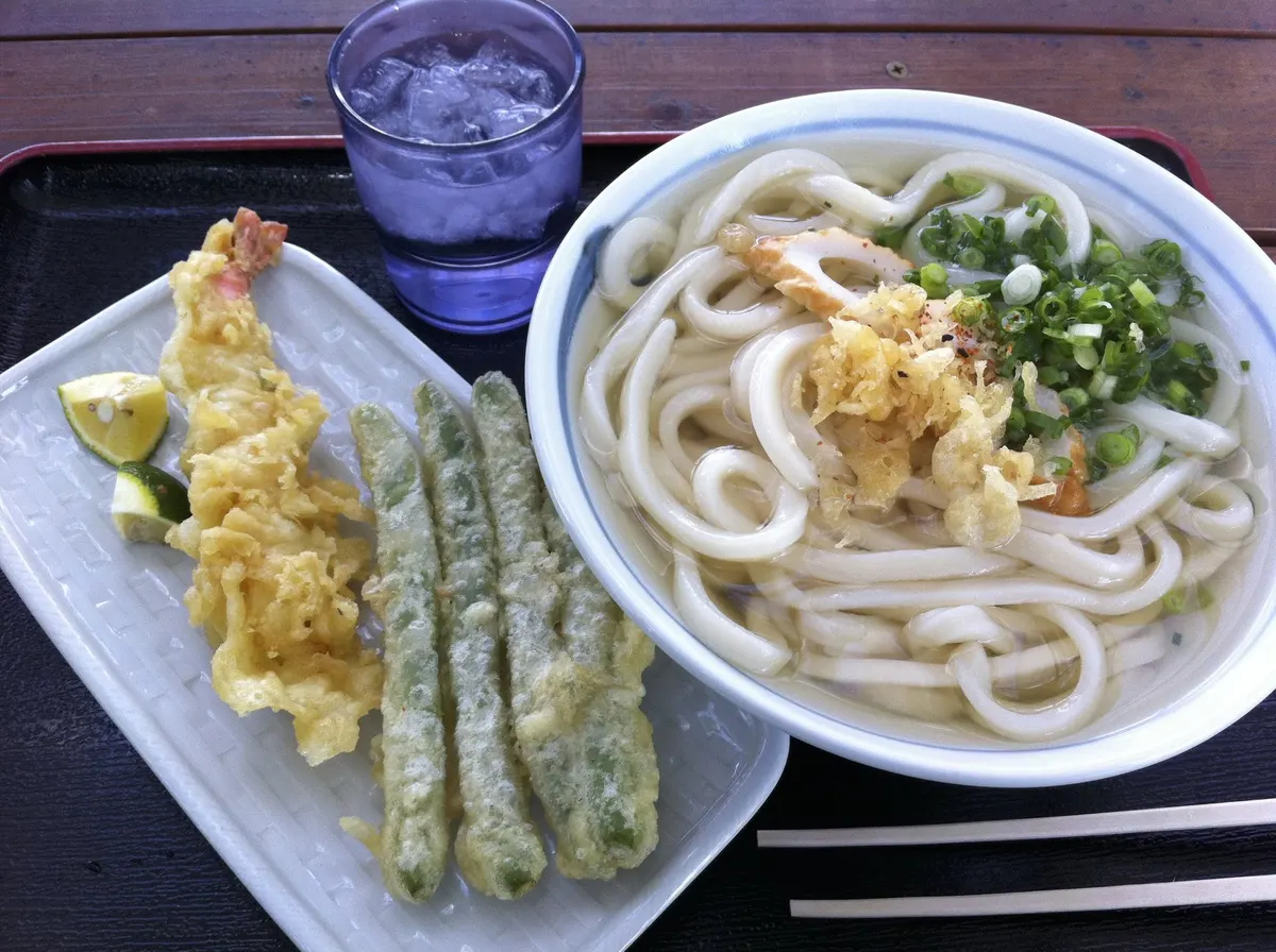 根っこのうどん