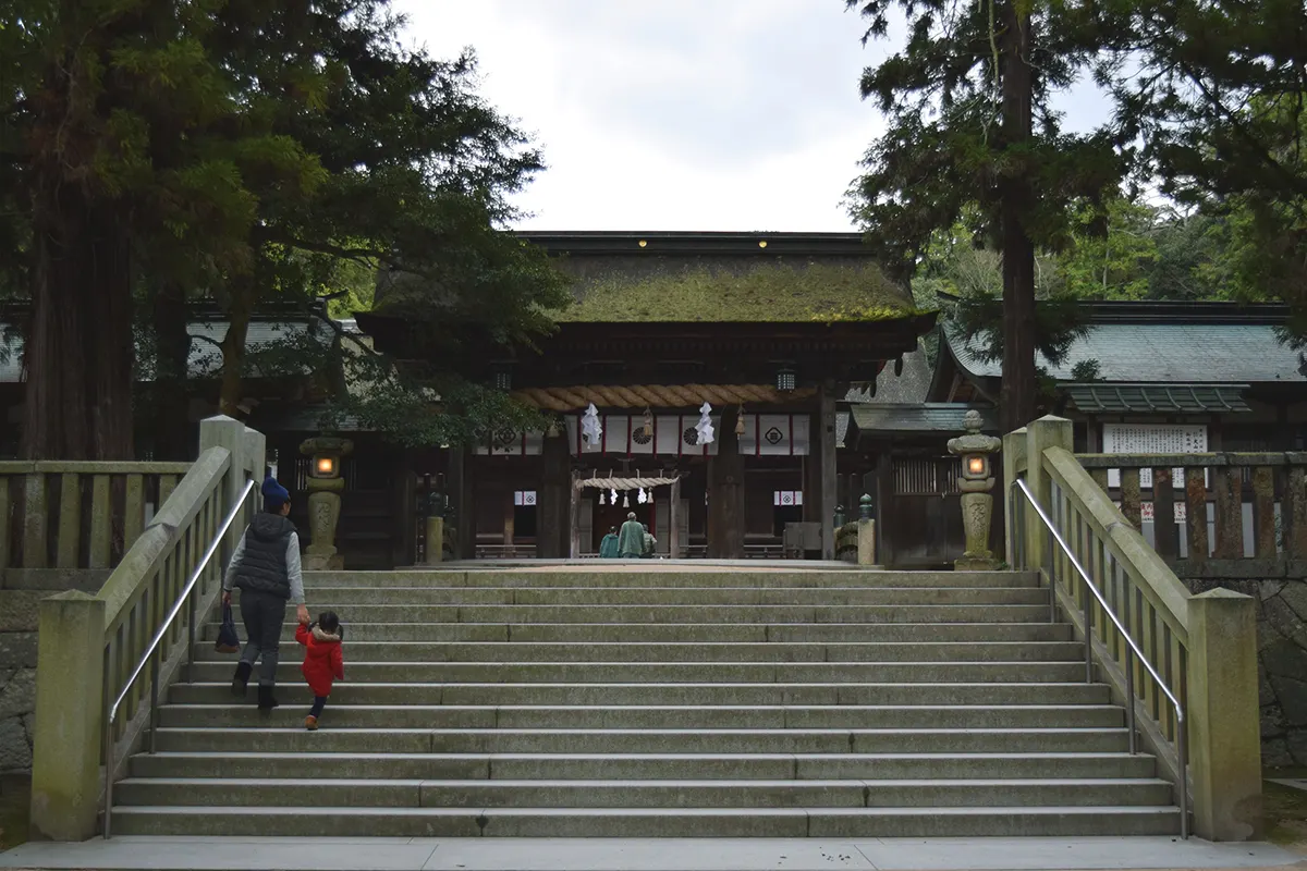 oyamazumi