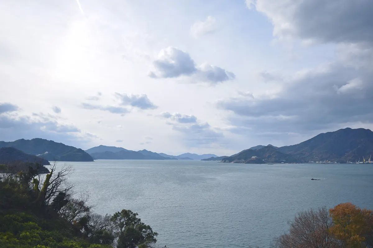 view